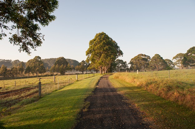 Removalist Tips On Moving House From The City to The Country in NSW