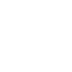 icon delivery