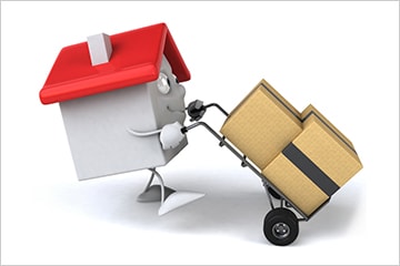 removalists trollies